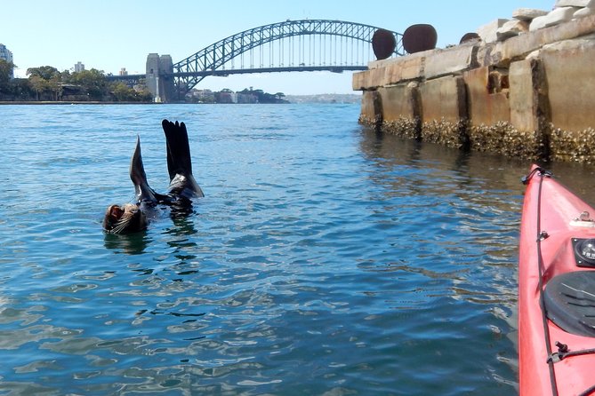 Kayak to Goat Island in Sydney Harbour With Local - Tour Duration and Size