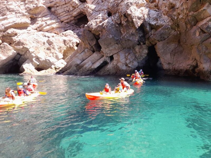 Kayak Tour - Experience Highlights