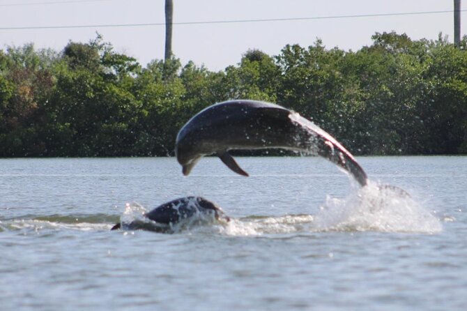 Kayak Tour Adventure Marco Island and Naples Florida - Tour Details