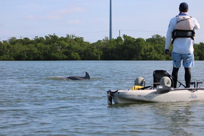Kayak Tour Adventure Marco Island and Naples Florida - Meeting and Pickup