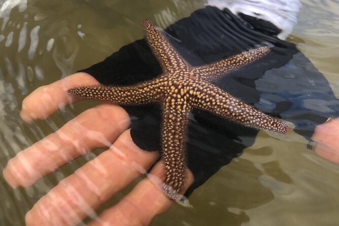 Kayak Tour Adventure Marco Island and Naples Florida - Additional Information