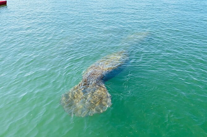 Kayak Tour Adventure Marco Island and Naples Florida - Cancellation Policy