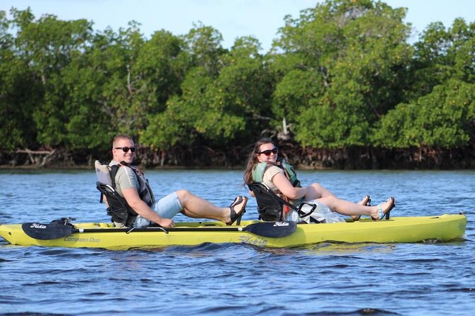Kayak Tour Adventure Marco Island and Naples Florida - Scenic Mangrove Forests