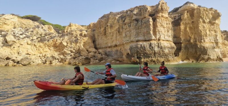 Kayak Tour Albufeira - Suitability