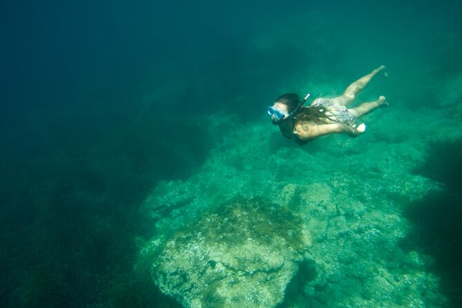 Kayak Tour and Snorkelling From Fornells - Requirements for Participation