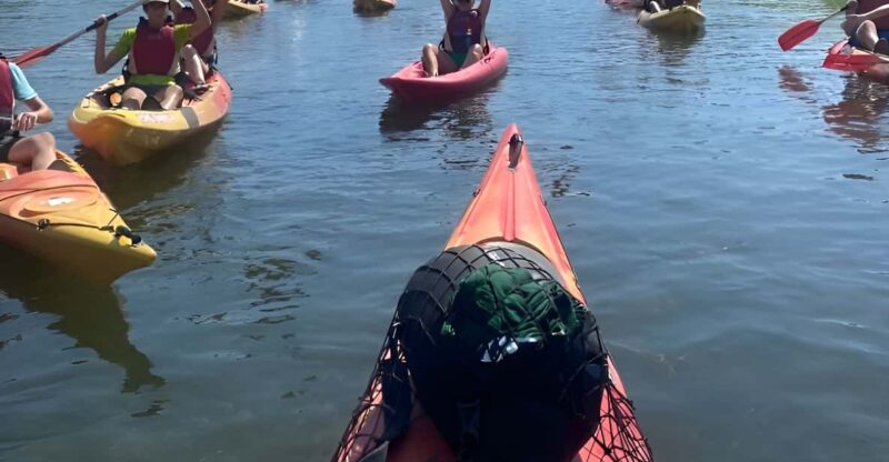 Kayak Tour and Wine Tasting at the Ebro River - Kayak Options