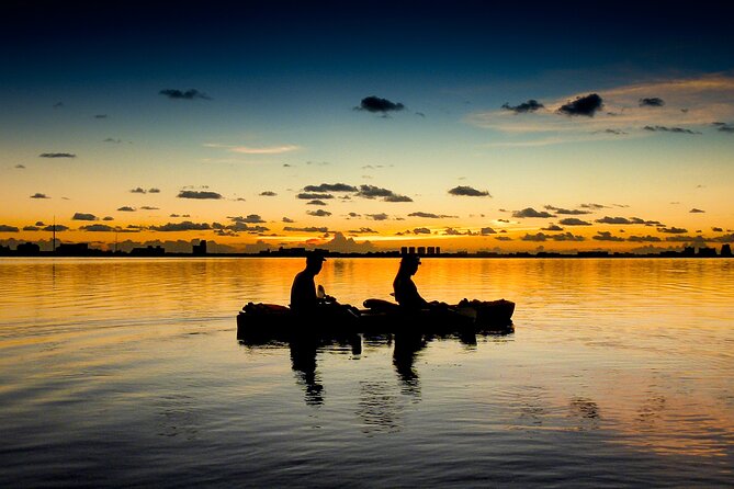 Kayak Tour at Sunset in Cancun - Immersive Mangrove Exploration