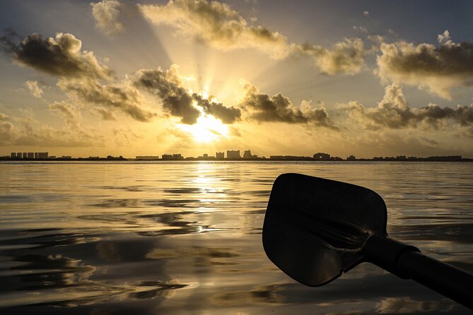 Kayak Tour at Sunset in Cancun - Knowledgeable and Friendly Guides