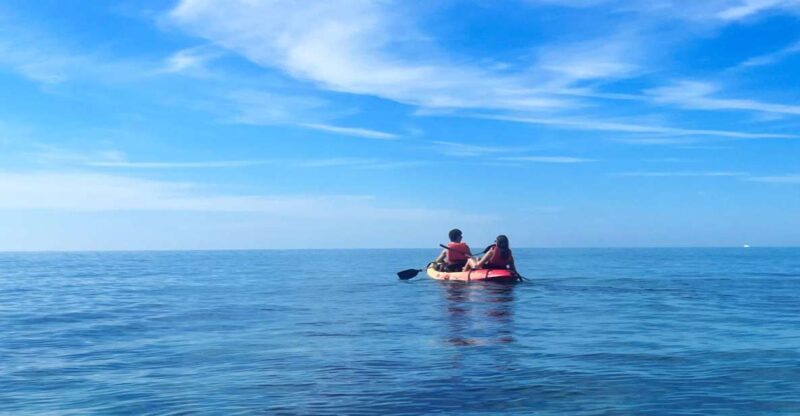 Kayak Tour Bay of Palma - Whats Included