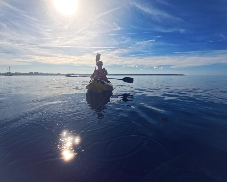 Kayak Tour Bay of Palma - Suitability and Prohibited Items