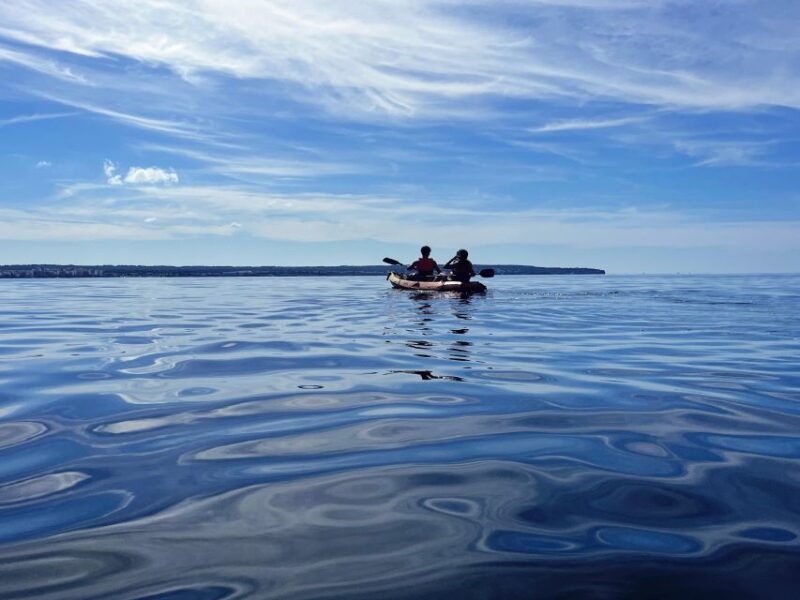 Kayak Tour Bay of Palma - Customer Feedback