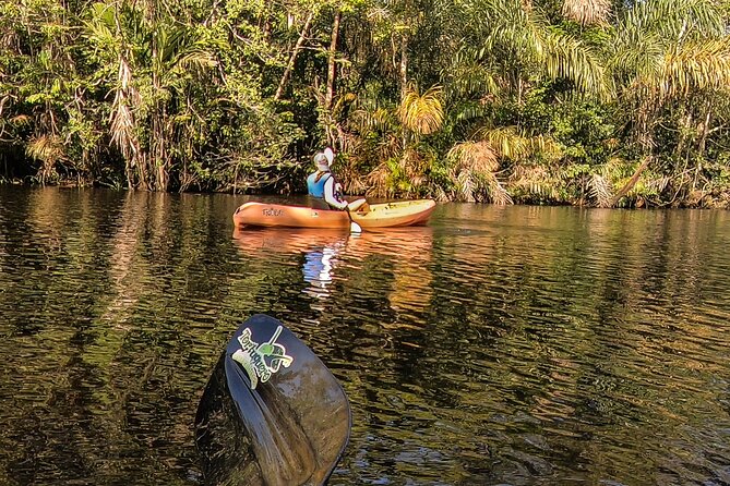 Kayak Tour - Reviews and Ratings