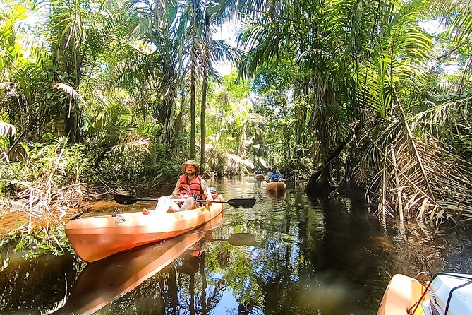 Kayak Tour - Accessibility and Participation