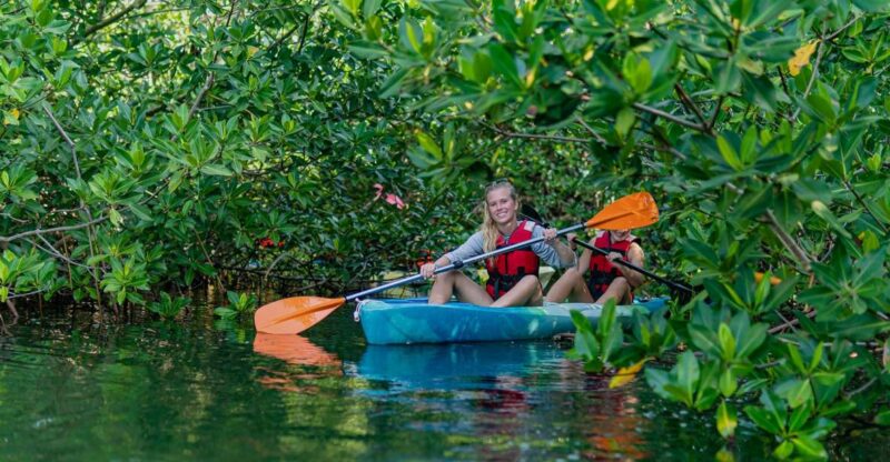 Kayak Tour in Cancun With Photos Included - Nature and Wildlife