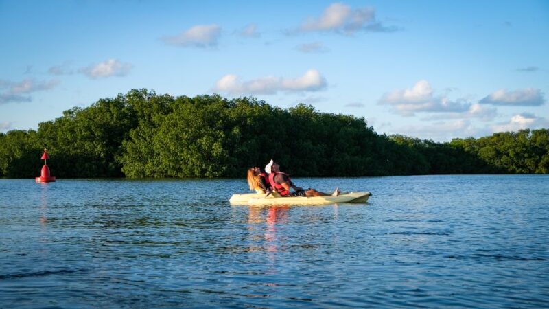 Kayak Tour in Cancun With Photos Included - Important Information