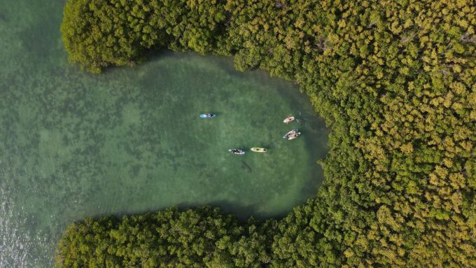 Kayak Tour in Cancun With Photos Included - Spot Diverse Species