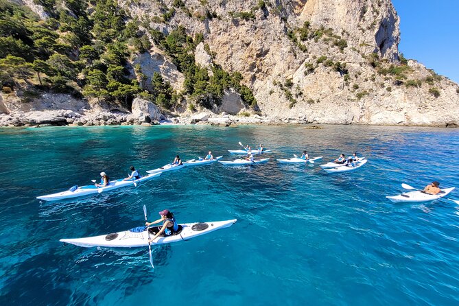 Kayak Tour in Capri Between Caves and Beaches - Scenic Highlights