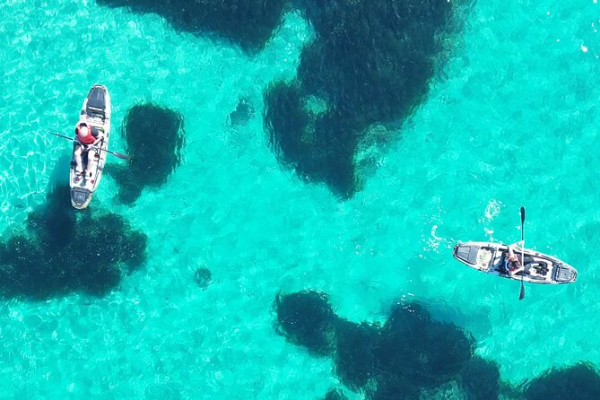 Kayak Tour in Golfo Aranci With Aperitif and Dolphin Watching - Meeting Point