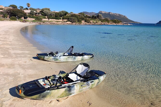 Kayak Tour in Golfo Aranci With Aperitif and Dolphin Watching - Duration and Group Size
