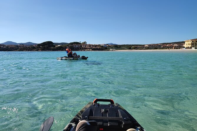 Kayak Tour in Golfo Aranci With Aperitif and Dolphin Watching - Medical Conditions