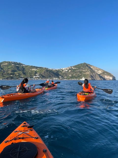 Kayak Tour in Ischia With Local Guide - Highlights and Activities