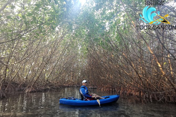 Kayak Tour in Laguna Nichupte Cancun - Highlights of the Experience