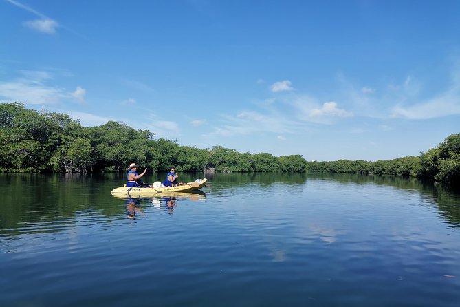 Kayak Tour in Laguna Nichupte Cancun - Cancellation Policy