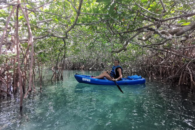 Kayak Tour in Laguna Nichupte Cancun - Pricing Information