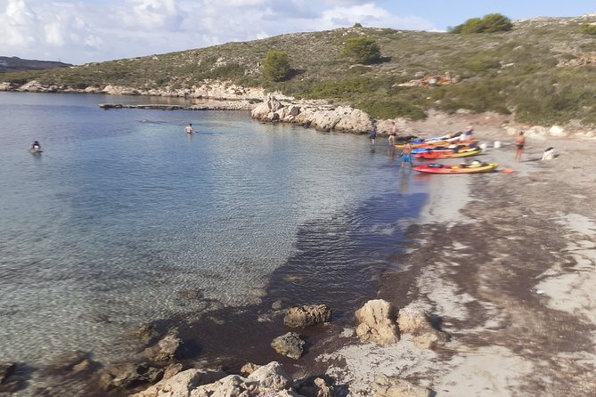 Kayak Tour in the Marine Reserve ! - Snorkeling Opportunities
