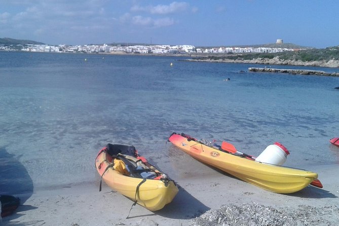 Kayak Tour in the Marine Reserve ! - Confirmation Details