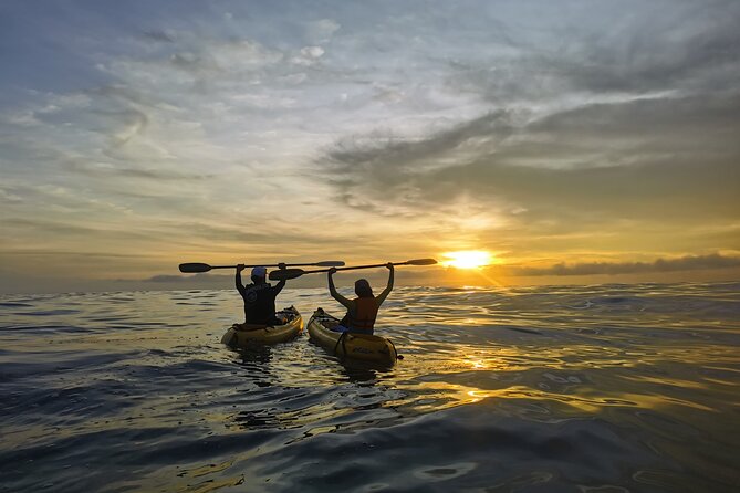 Kayak Tour Island Cabuya - Key Points