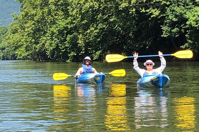 Kayak Tour of Jamestown Island (Small Group or Private) - Positive Reviews and Feedback
