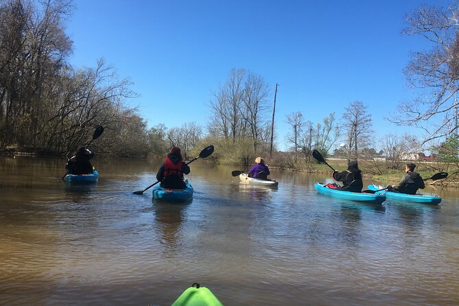 Kayak Tour Of The Honey Island Swamp and Backwaters - Tour Details