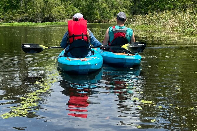 Kayak Tour Of The Honey Island Swamp and Backwaters - Reviews and Experience