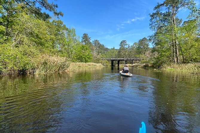 Kayak Tour Of The Honey Island Swamp and Backwaters - Exploring the Swamp Trails