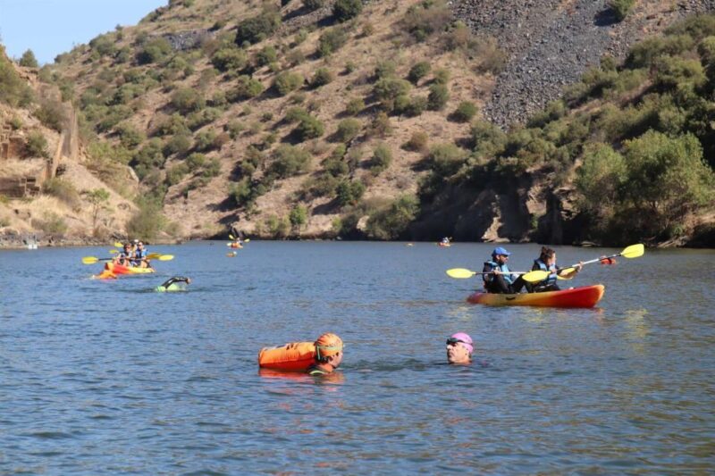 Kayak Tour on the Côa River - Pricing and Booking Details