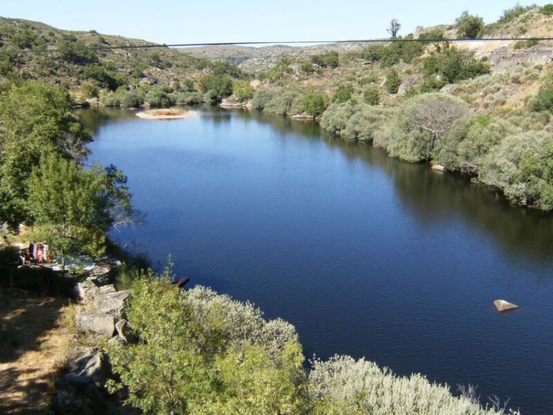 Kayak Tour on the Côa River - Discovering Rock Figures