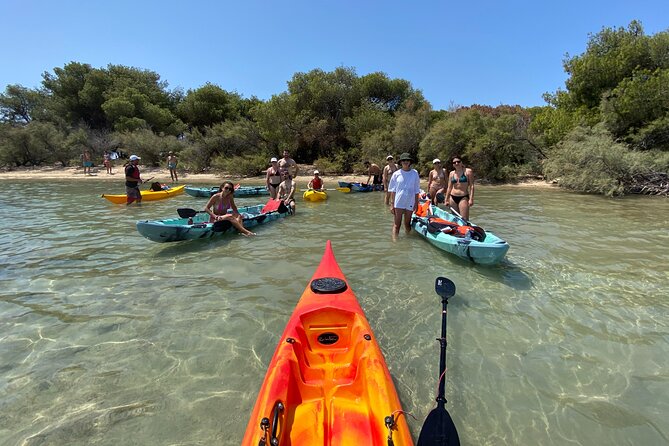 Kayak Tour: Porto Cesareo and the Marine Protected Area - Customer Feedback and Insights