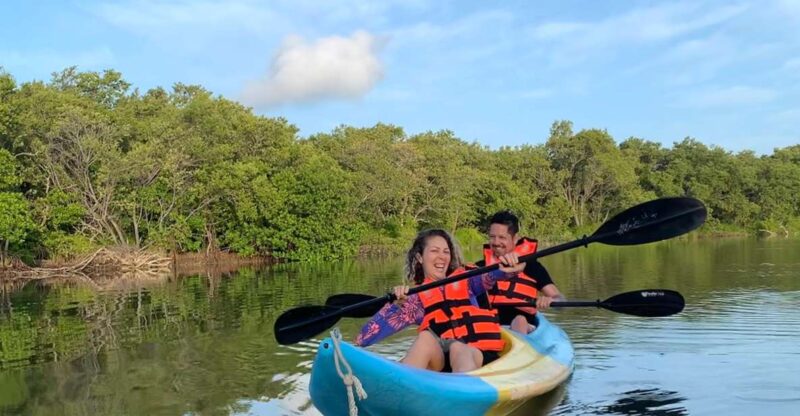 Kayak Tour Through Holbox Mangroves - Key Points