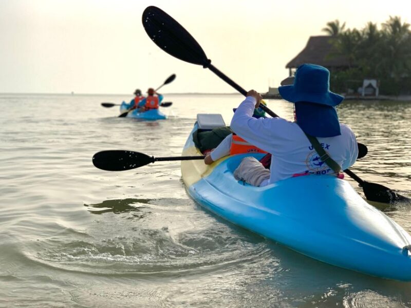 Kayak Tour Through Holbox Mangroves - Itinerary