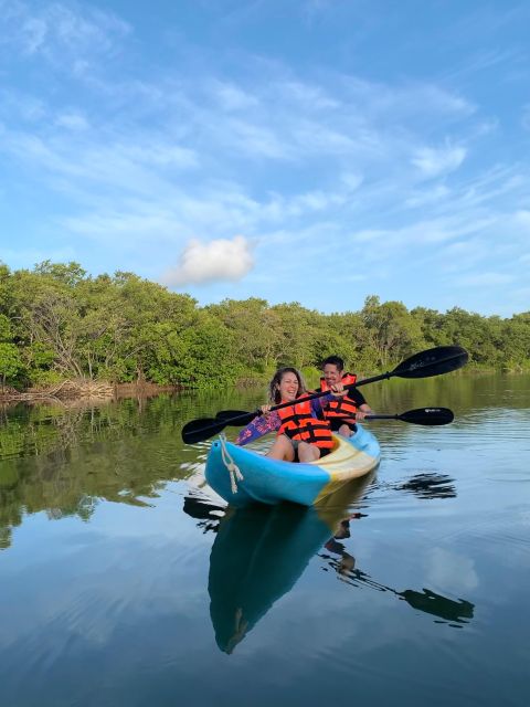 Kayak Tour Through Holbox Mangroves - Tour Highlights