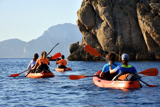 Kayak Tour With Aperitif and Dolphins - Tour Experience