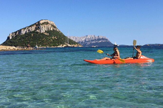 Kayak Tour With Aperitif and Dolphins - Additional Information