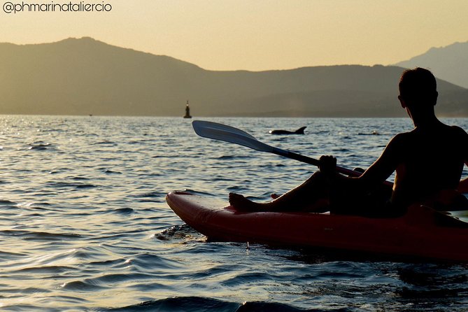 Kayak Tour With Aperitif and Dolphins - Wildlife Sighting