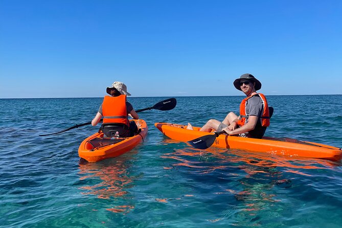 Kayak Tour With Local Guide - Inclusions