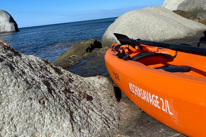 Kayak Tour With Local Guide - Guided Nature Tour