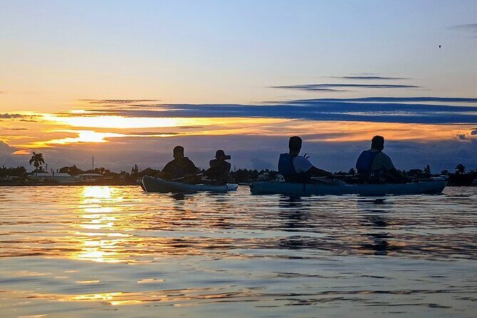 Kayak Tours and Rentals. Dolphins, Manatees, and Bioluminescence! - Who Will Love This Tour?