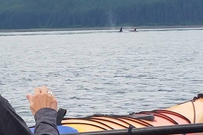 Kayak Tours - Tour Duration and Accessibility