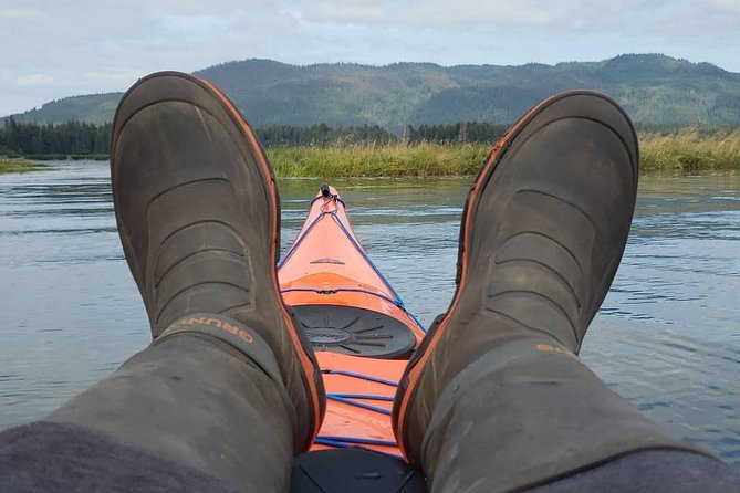 Kayak Tours - Wildlife Spotting on Long Island