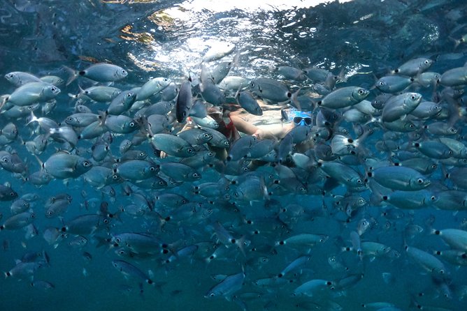 Kayak Tours in Pula to Blue Cave | Cold Beer/Water Included - Cancellation Policy and Weather Considerations